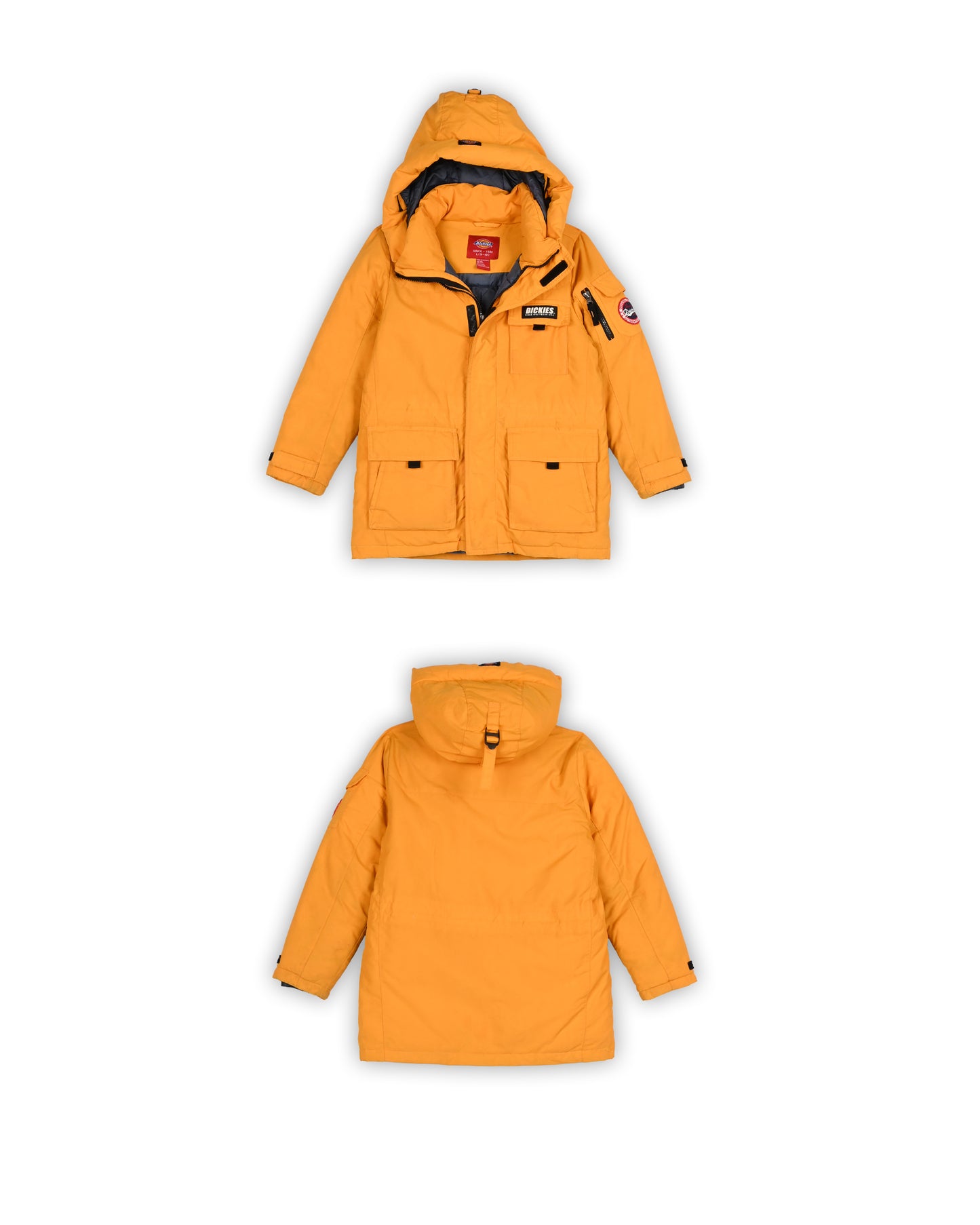 DICKIES JACKET - L