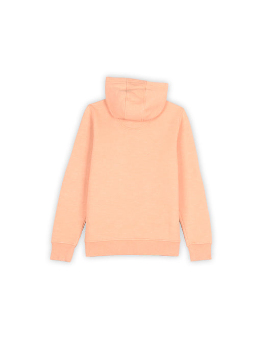 CARHARTT HOODIE - S