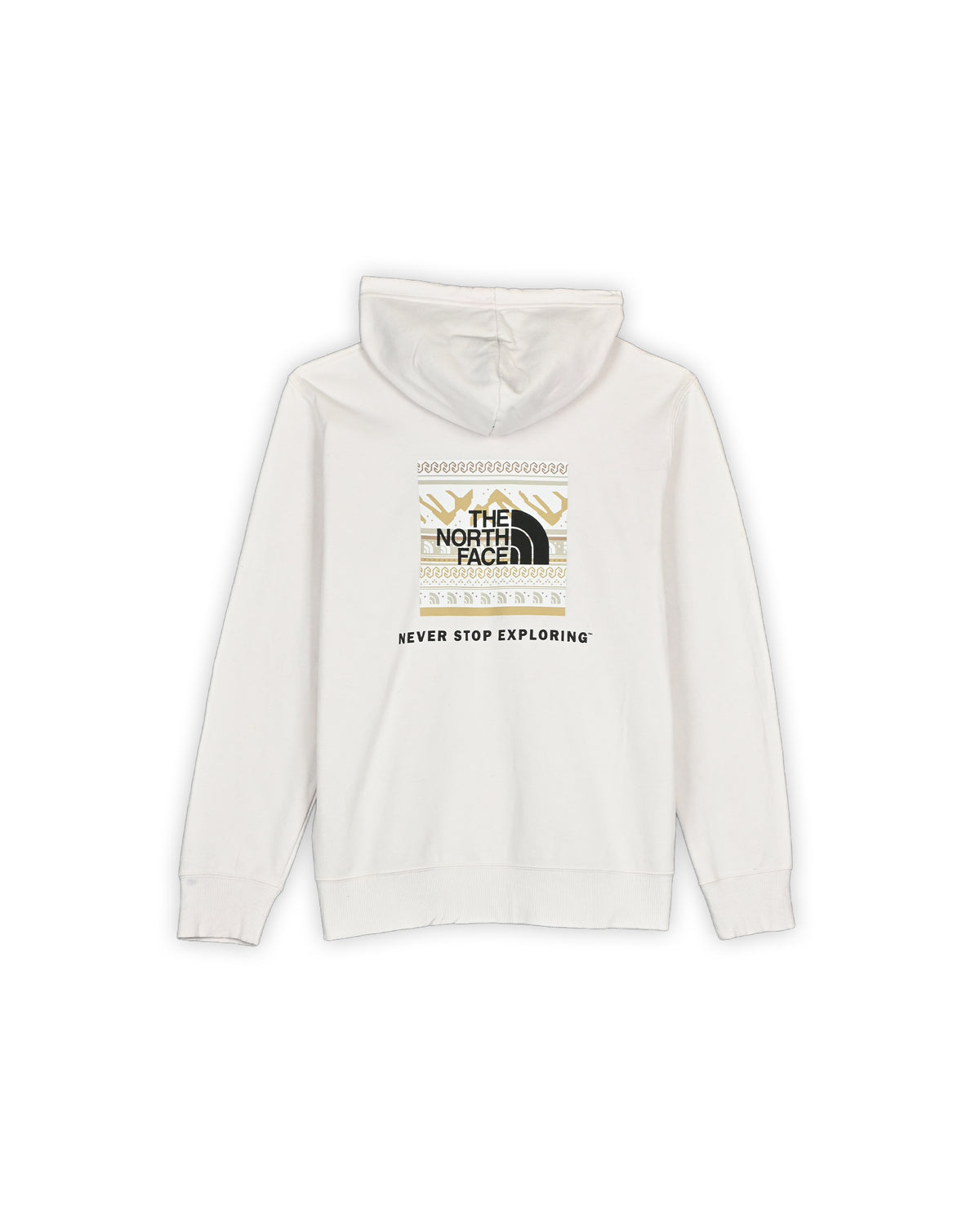 THE NORTH FACE HOODIE - L