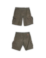 THE NORTH FACE CARGO SHORTS - 36
