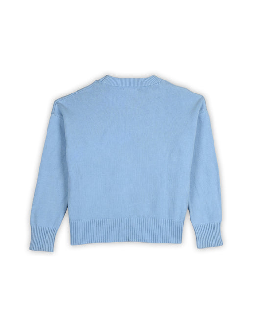 AMI SWEATER - L