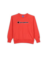 CHAMPION SWEATSHIRT - M
