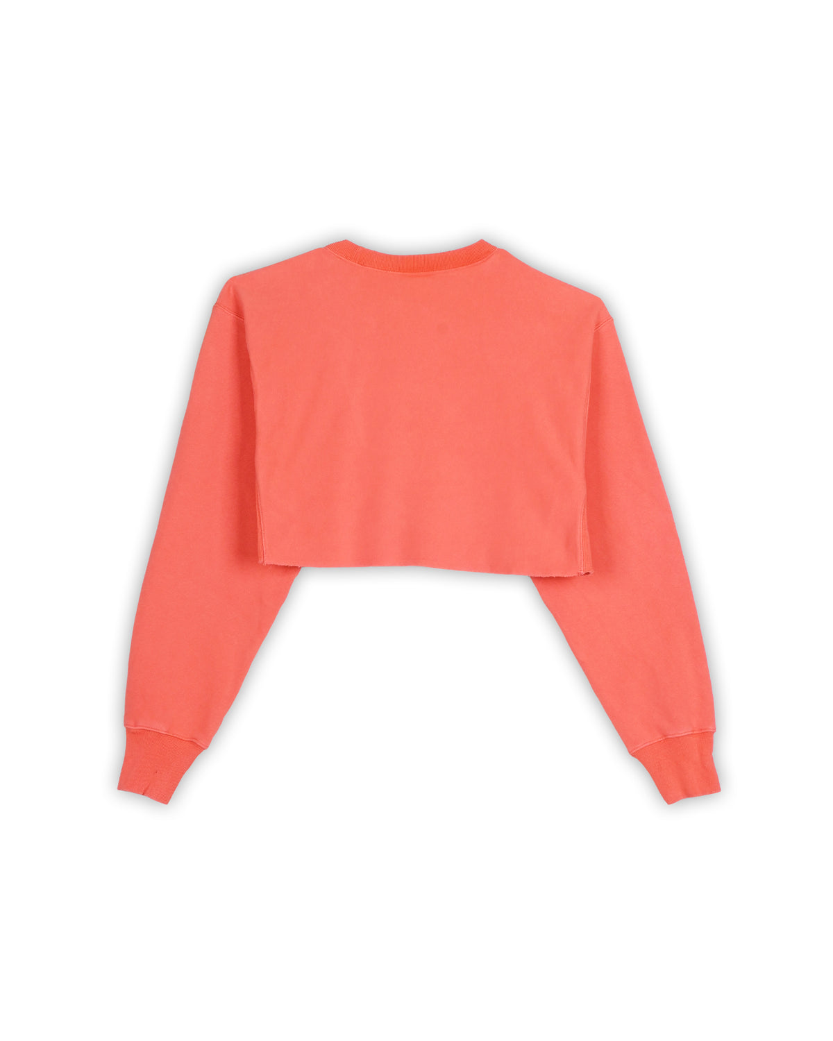 CHAMPION WOMEN'S CROPPED SWEATSHIRT - S