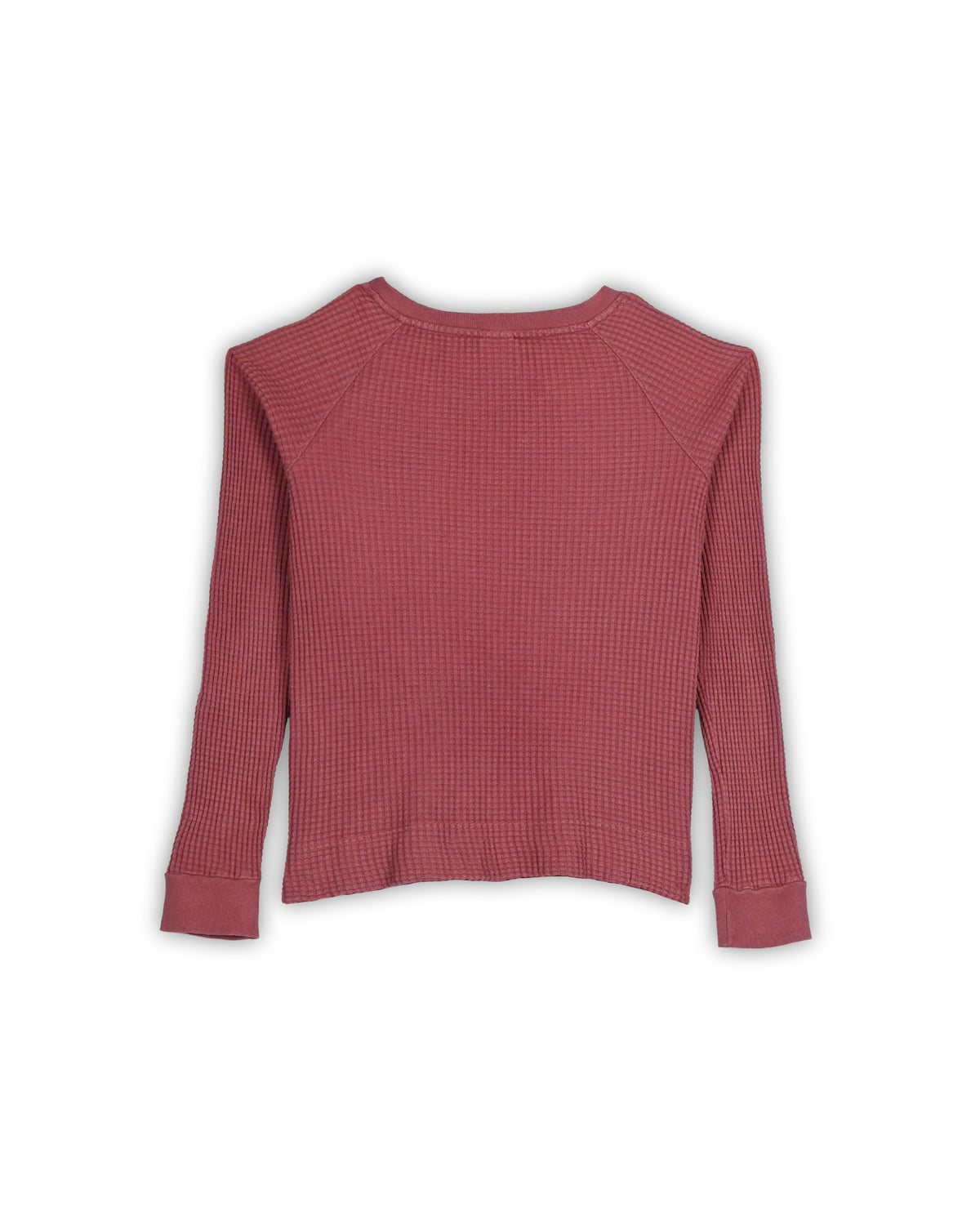 THE NORTH FACE WOMEN'S T-SHIRT - M