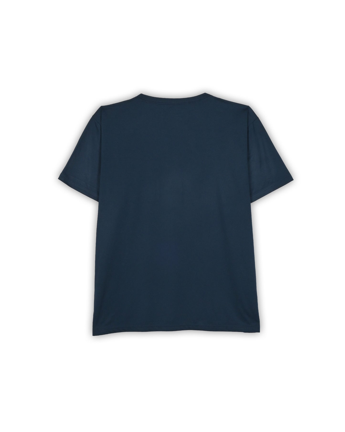 DICKIES T-SHIRT - XXL