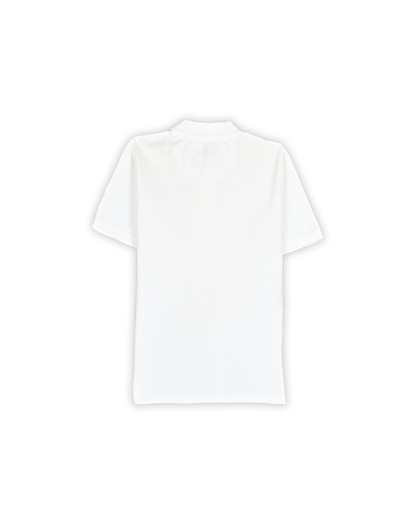 HOLLISTER T-SHIRT - L