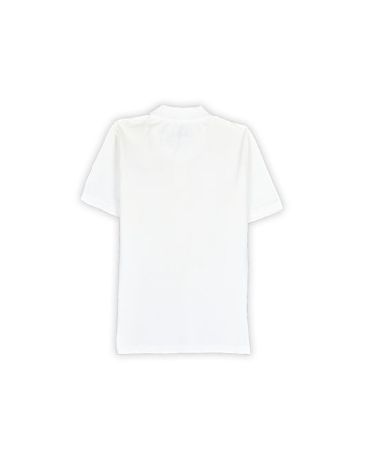 HOLLISTER T-SHIRT - L